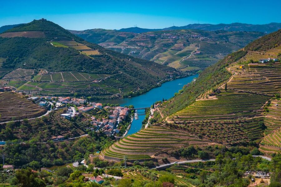 Porto: Douro Valley Tour with Lunch, Boat Cruise & Tastings - Lunch with Douro wine at the cellar