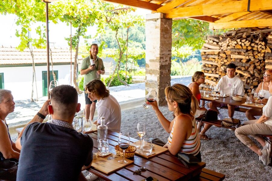 Porto: Douro Valley Tour with Lunch, Boat Cruise & Tastings - The second cellar and olive oil tasting