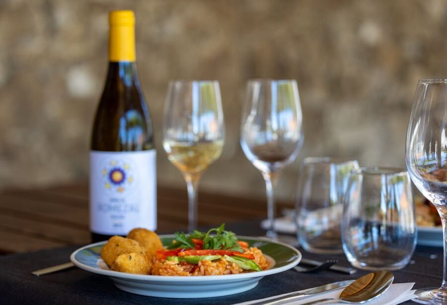 Porto: Douro Valley Tour with Lunch, Boat Cruise & Tastings - The N222 and the best photo stops