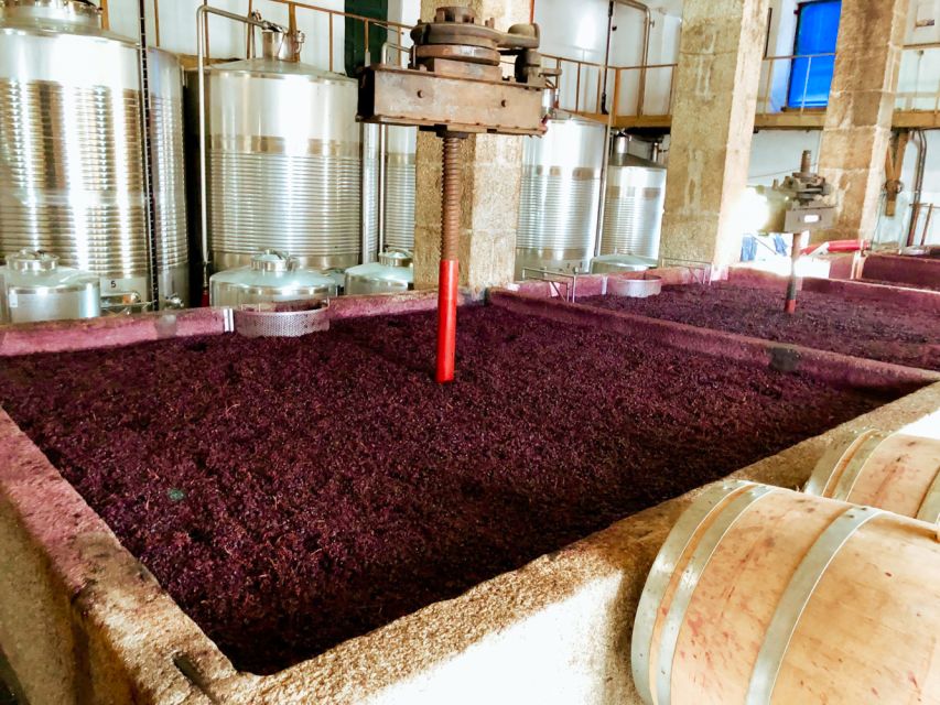 Porto: Douro Valley Tour with Wine Tasting, Cruise and Lunch - Who should book this Douro day trip?