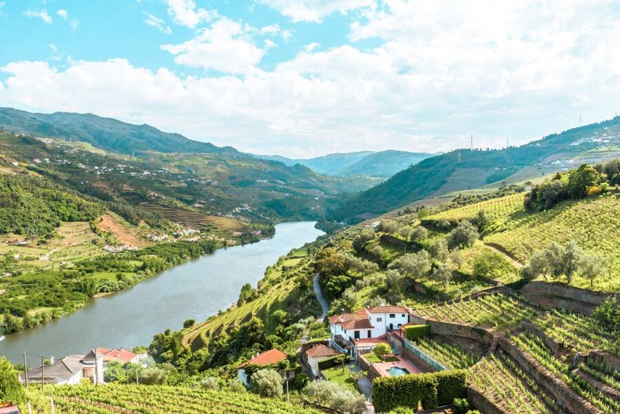 Porto: Douro Valley Tour with Wine Tasting, Cruise and Lunch - A Portuguese lunch with wine at the table
