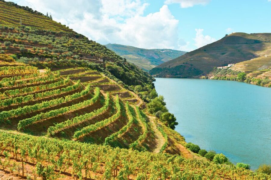Porto: Douro Valley Tour with Wine Tasting, Cruise and Lunch - Is $76 a fair price?