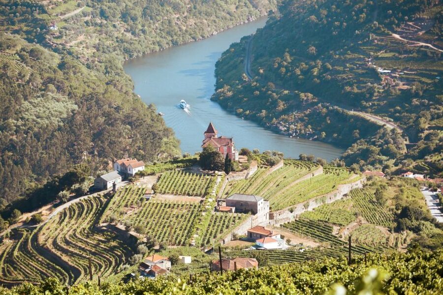 Porto: Douro Valley Tour with Wine Tasting, Cruise and Lunch - First winery visit and the foundations of port