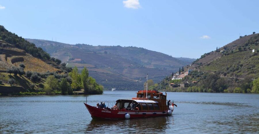 Porto: Douro Valley Vineyards Tour with Lunch & River Cruise - Lamego and the first wine tasting