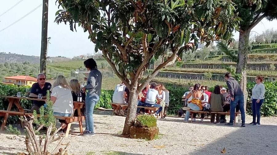 Porto: Douro Valley Vineyards Tour with Lunch & River Cruise - The second tasting in Sabrosa