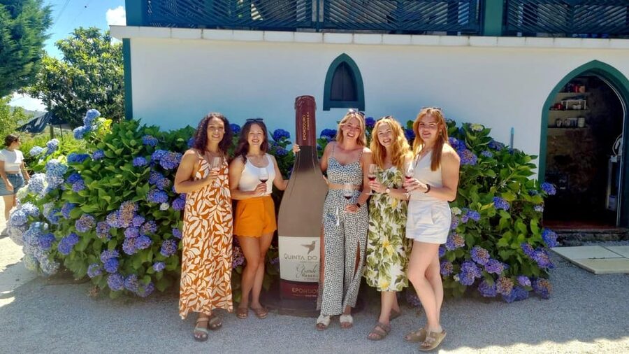 Porto: Douro Valley Vineyards Tour with Lunch & River Cruise - The return to Porto and the real cost of the day
