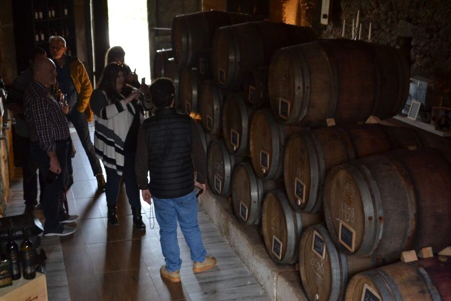 Porto: Douro Valley Vineyards Tour with Lunch & River Cruise - The morning drive from Porto to Lamego