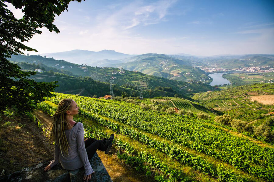 Porto: Douro Valley Wine Tour with a Sommelier & Boat Trip - The second quinta and the Douro’s Port tradition