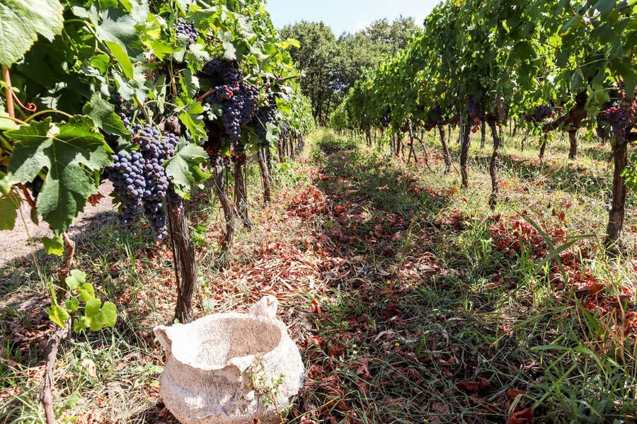 Porto: Douro Valley Wine Tour with a Sommelier & Boat Trip - Comfort, timing, and practical limits