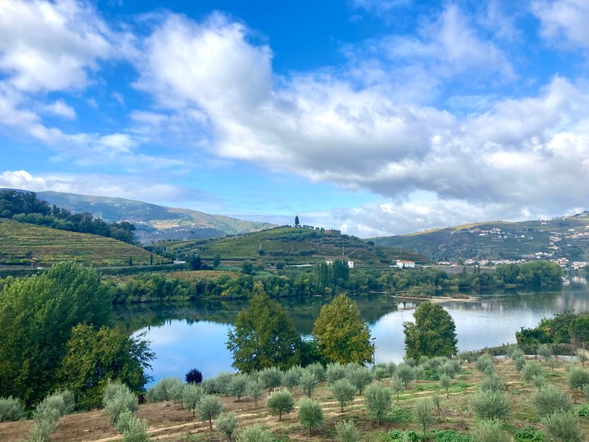 Porto: Douro Valley Wine Tour with Tastings, Boat, and Lunch - Key points at a glance