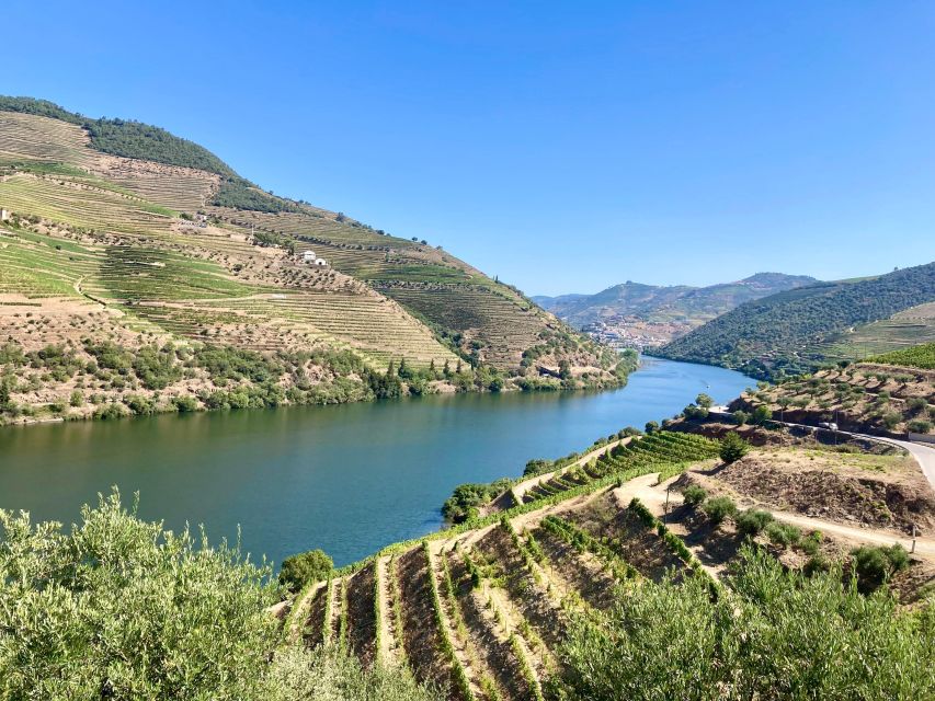 Porto: Douro Valley Wine Tour with Tastings, Boat, and Lunch - Why the small group matters on the road from Porto
