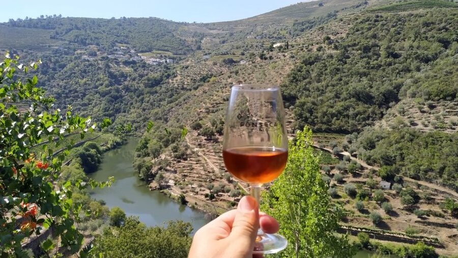 Porto: Douro Valley Wine Tour with Tastings, Boat, and Lunch - Plenty of wine, but pace yourself