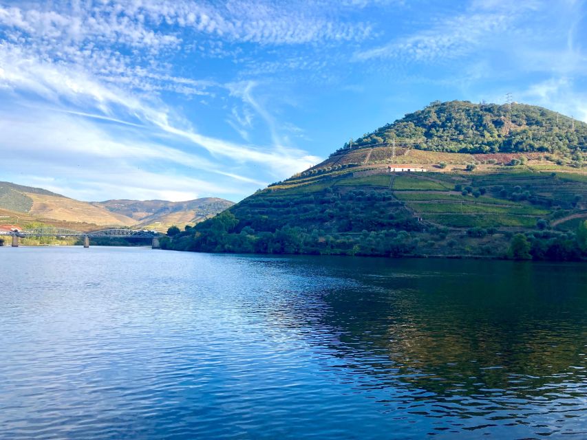 Porto: Douro Valley Wine Tour with Tastings, Boat, and Lunch - Who will enjoy this Douro Valley day