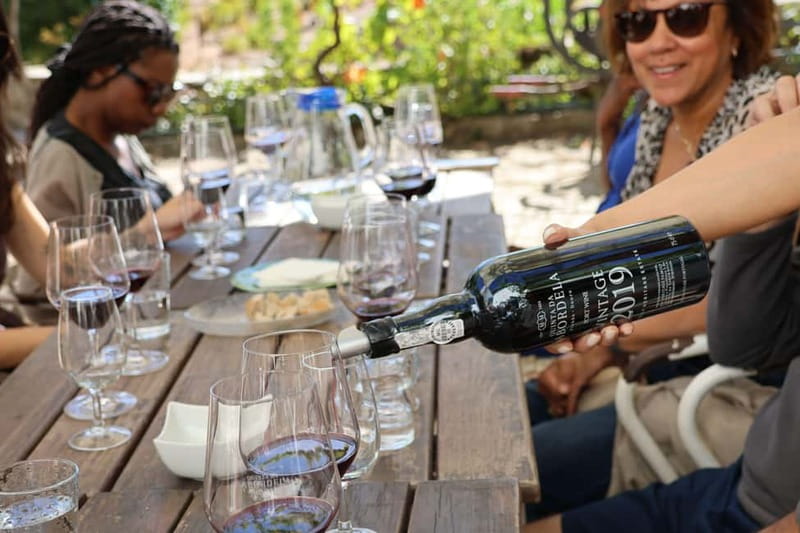 Porto: Douro Valley with Small Wineries, Lunch and Boat Tour - What makes this Douro Valley tour worth your time
