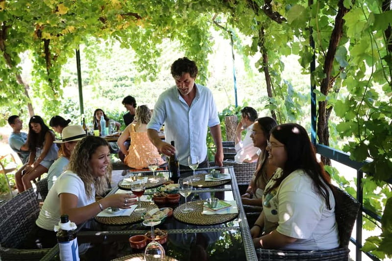 Porto: Douro Valley with Small Wineries, Lunch and Boat Tour - Timing, pickup, and practical details