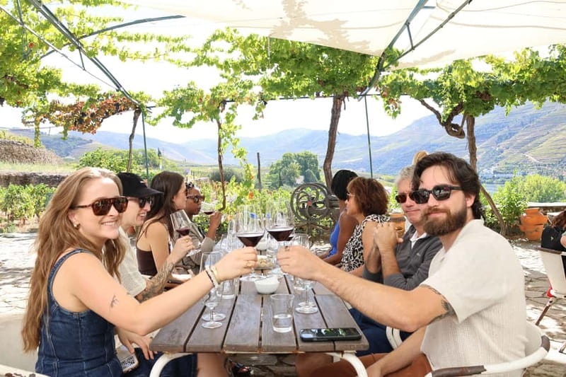 Porto: Douro Valley with Small Wineries, Lunch and Boat Tour - First winery tasting: a quiet introduction to Douro wine