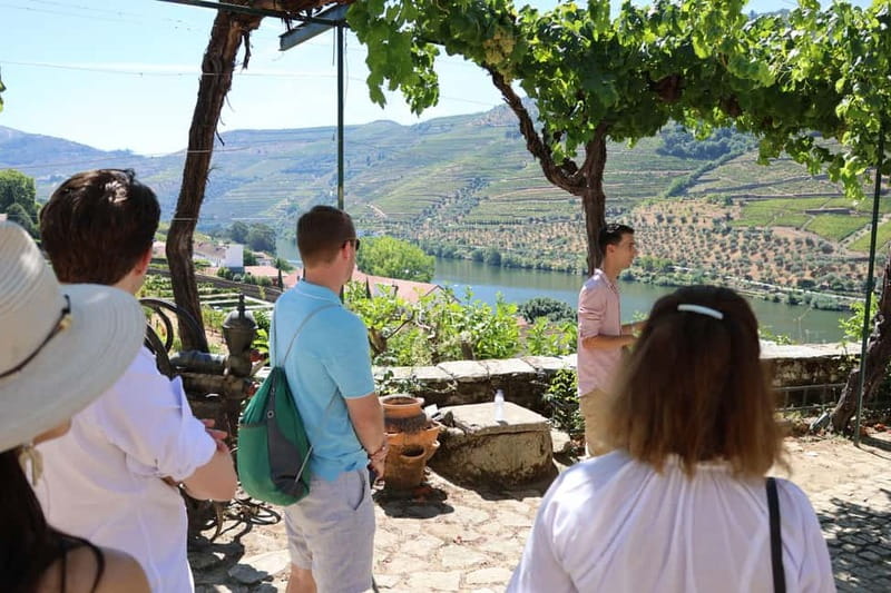 Porto: Douro Valley with Small Wineries, Lunch and Boat Tour - The one-hour cruise shows the valley from below