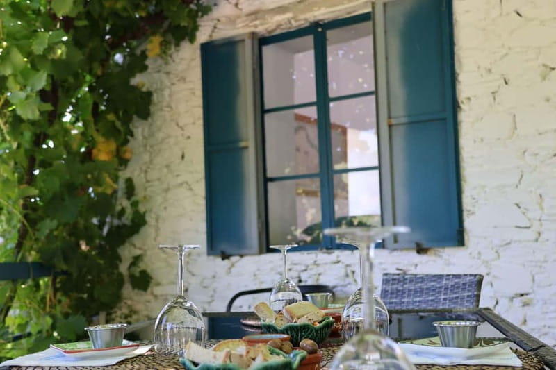 Porto: Douro Valley with Small Wineries, Lunch and Boat Tour - The guides are a major part of the experience