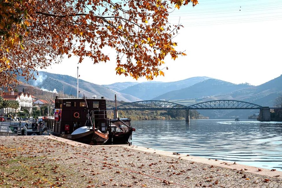 Porto: Douro Wine Tour with Lunch and River Cruise - Key points at a glance