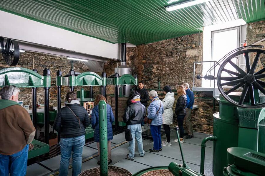 Porto: Douro Wine Tour with Lunch and River Cruise - Should you book the Porto Douro wine tour?