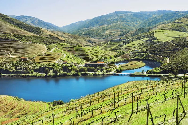 Porto: Douro Wine Tour with Lunch and River Cruise - Why this Douro day trip works so well