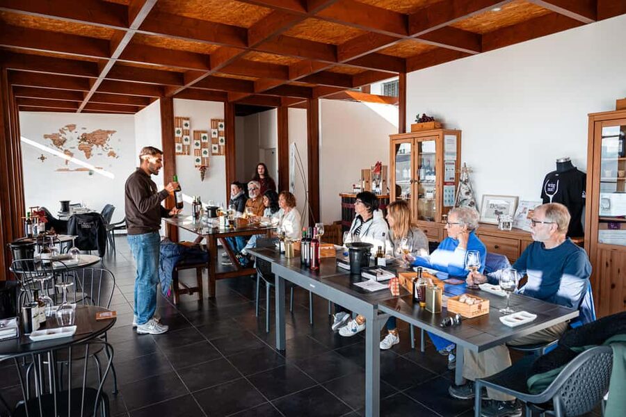 Porto: Douro Wine Tour with Lunch and River Cruise - Is $153 a fair price?