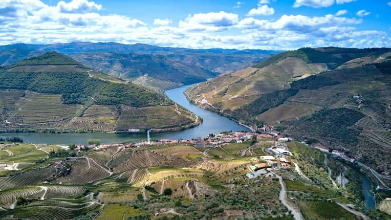 Porto: Douro Wine Tour with Lunch and River Cruise - Who should book this experience?