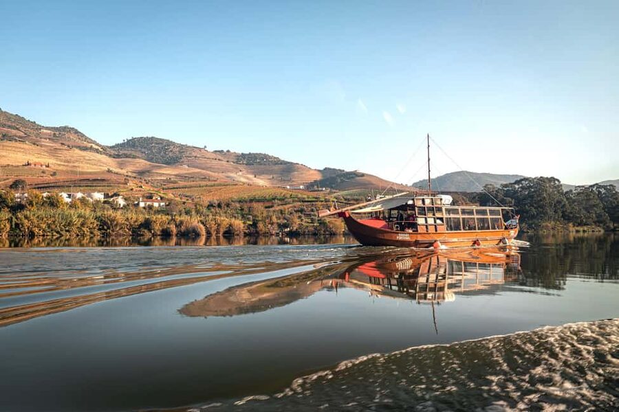 Porto: Douro Wine Tour with Lunch and River Cruise - From Porto to the Douro on the N222
