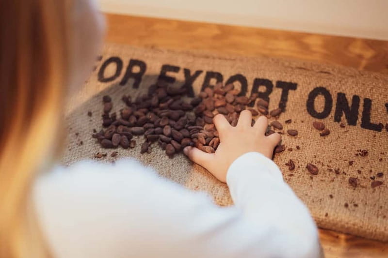 Porto: Entry Ticket at WOW The Chocolate Experience by 20|20 - From sacred cacao to European chocolate