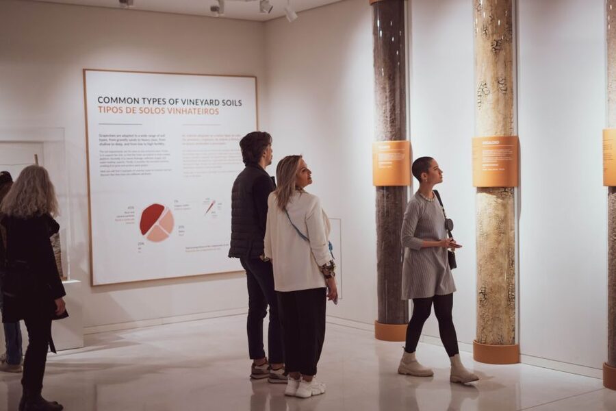 Porto: Entry Ticket at WOW - The Wine Experience Museum - Why the price can make sense