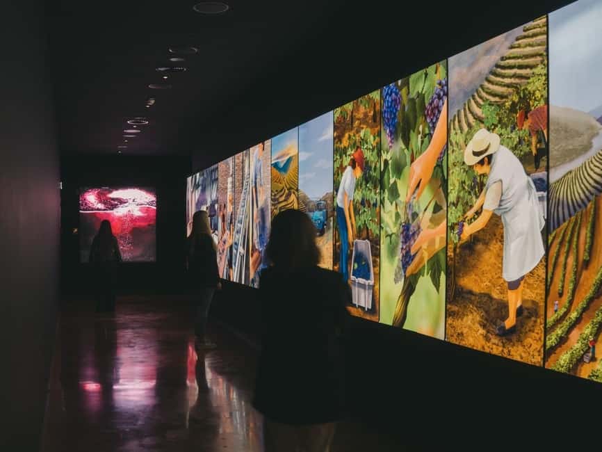 Porto: Entry Ticket at WOW - The Wine Experience Museum - Timing your visit at WOW