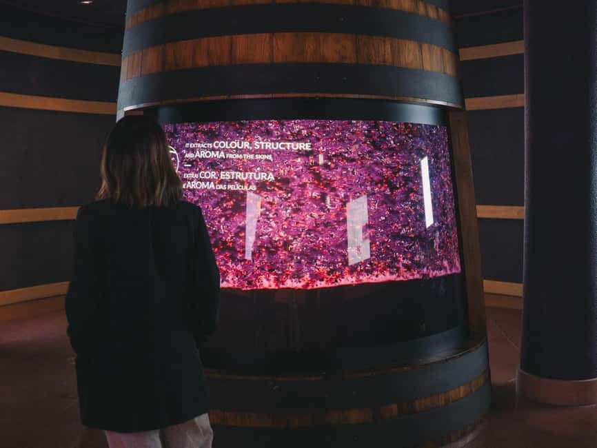 Porto: Entry Ticket at WOW - The Wine Experience Museum - Who will enjoy The Wine Experience most