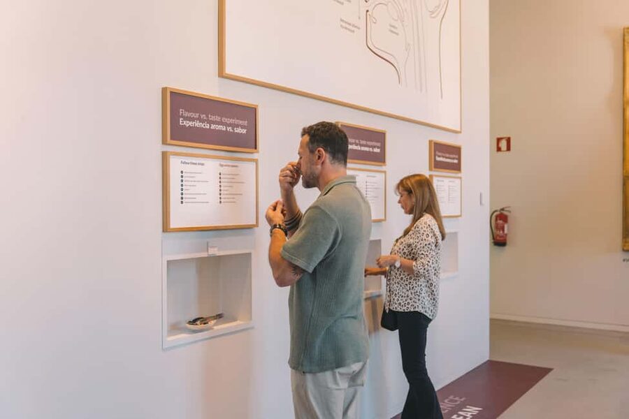 Porto: Entry Ticket at WOW - The Wine Experience Museum - Portugal’s wine regions in one visit