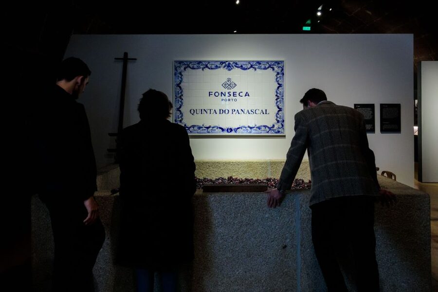 Porto: Fonseca Cellar Tour & Fado Show with Optional Dinner - Who will enjoy this Fonseca evening?