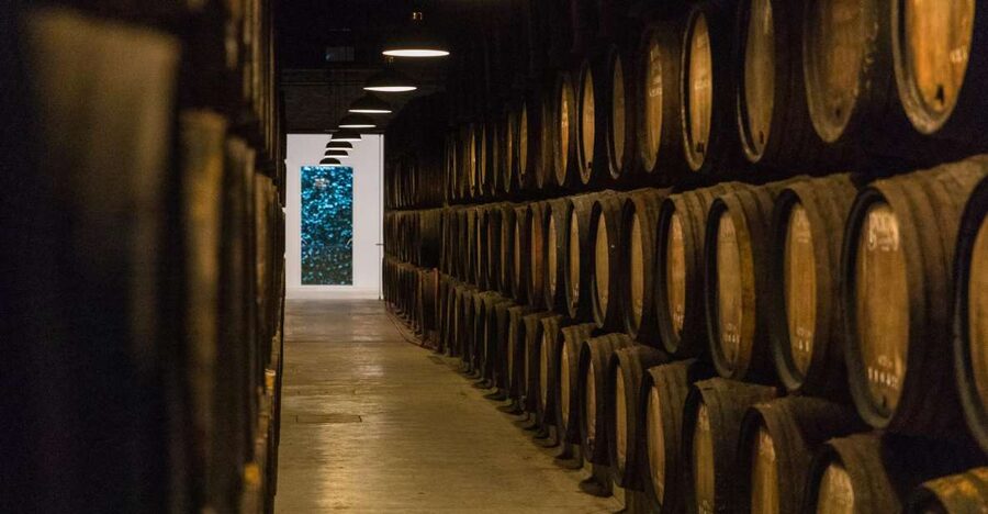 Porto: Guided Tour and Tasting of 3 Port Wines at Poças - What the Poças experience is really about