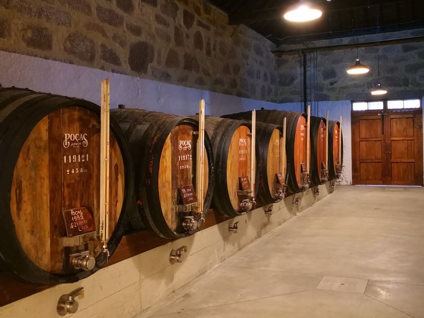 Porto: Guided Tour and Tasting of 3 Port Wines at Poças - Pairing Port with food