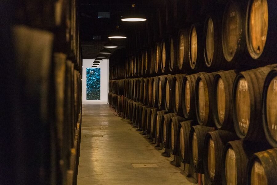 Porto: Guided Tour and Tasting of 3 Port Wines at Poças - Entering the cellar and seeing where Port ages