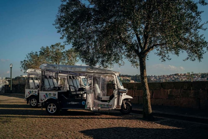 Porto Half Day Tuk Tuk Tour Clérigos, Seaside and Viewpoints - From the Douro Ecological Reserve to Lavadores Beach