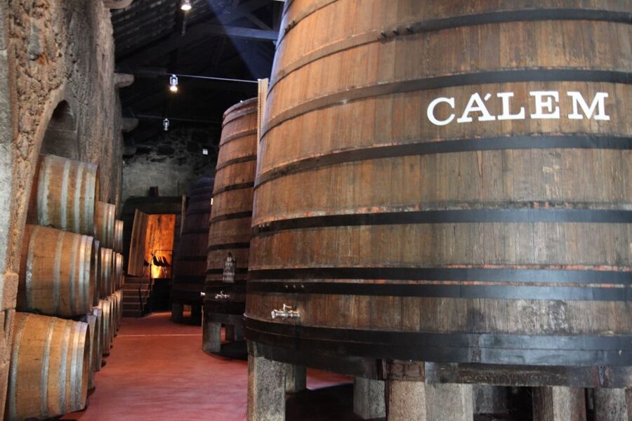 Porto: Hop-on Hop-off Bus with Optional Cruise & Wine Cellar - Blue Route: Porto’s parks, museums, and riverfront