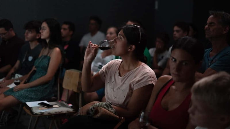 Porto: Live Fado Concert with Glass of Tawny Port Wine - Why the format works for first-time listeners