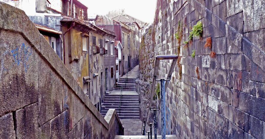 Porto: Private Bike Tour with a Local Guide - Porto City Park and Serralves country