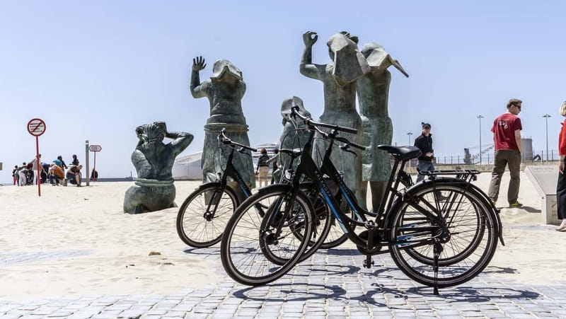 Porto Private E-Bike Tour: Douro River, Parks & Beaches - From Cantareira to the open sea