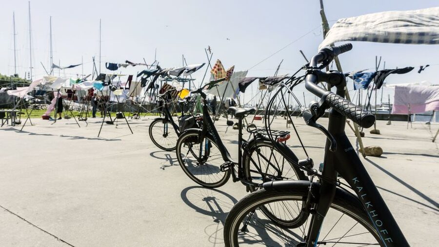 Porto Private E-Bike Tour: Douro River, Parks & Beaches - Foz beaches, Castelo do Queijo and Matosinhos