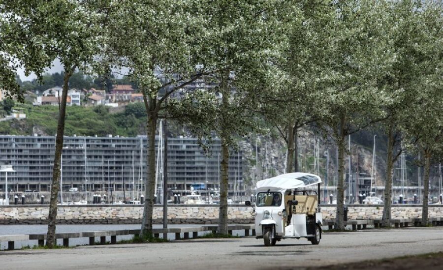 Porto: Private Sightseeing Tour by Electric Tuk Tuk - The bridge, Gaia, and sunset timing