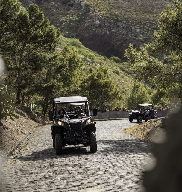 Porto Santo: 90 Minutes Off-Road Buggy Tour - Who should book this experience?