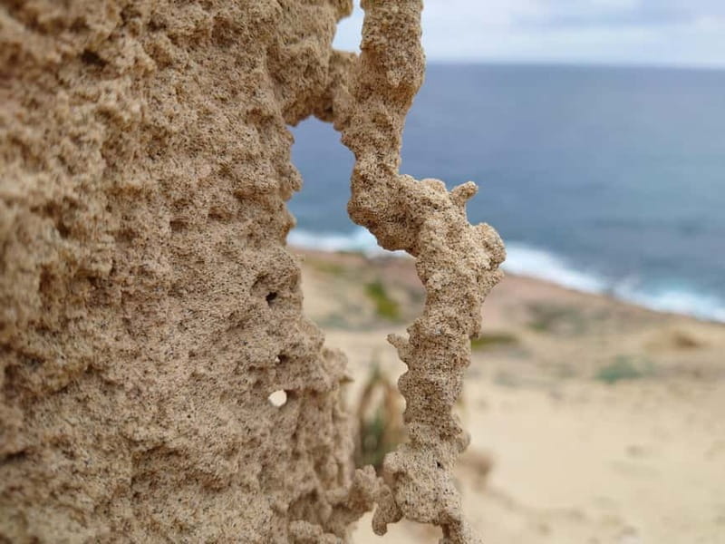 Porto Santo: Island Highlights 4x4 Tour with Hotel Transfers - Pico das Eiras and Ana Ferreira Peak add variety