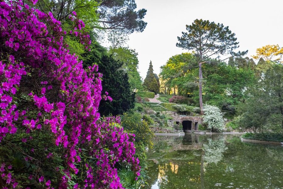 Porto: Serralves Foundation All Access Pass - My verdict: book it if you can spare half a day