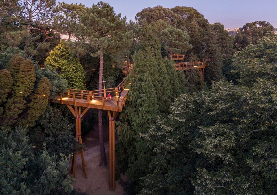 Porto: Serralves Park Entry Ticket - Why Serralves Park feels different from a normal city garden