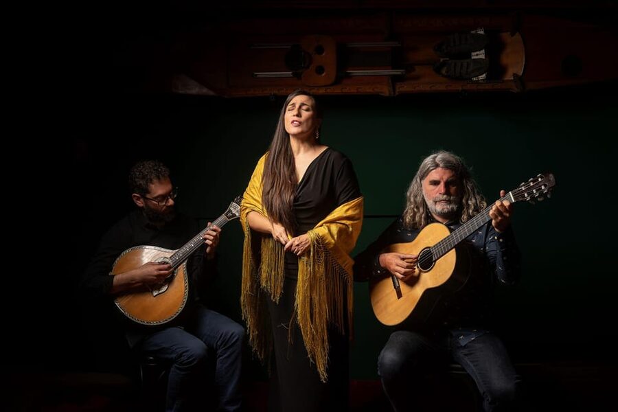 Porto: The Authentic Fado Concert with Port Wine - What this experience does not include