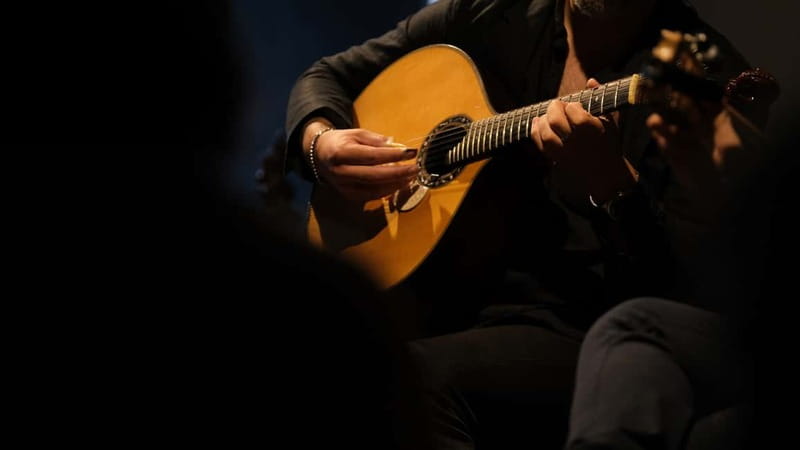 Porto: The highest-rated traditional fado concert (downtown) - What happens during the one-hour performance